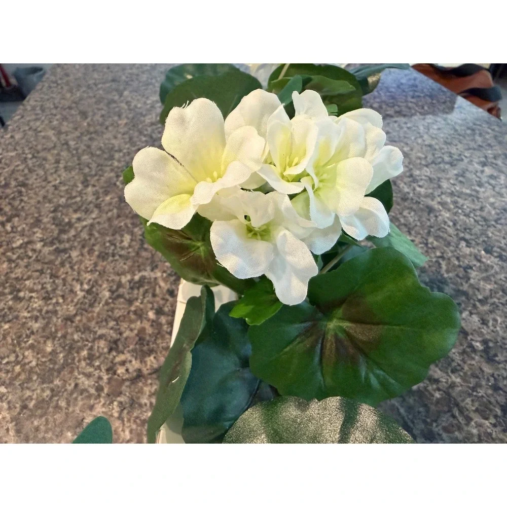 Threshold Studio McGee‎ 3 Piece Faux White Geranium Floral Arrangements in Pots